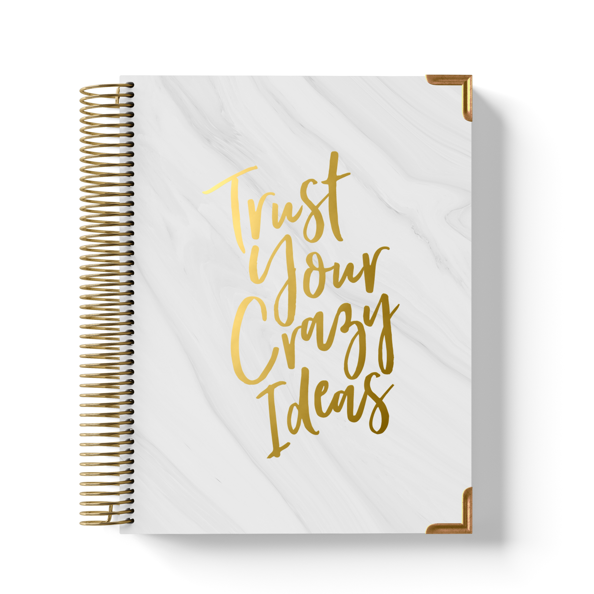 Trust Your Crazy Ideas - Large Teacher Planner (2026-2027)